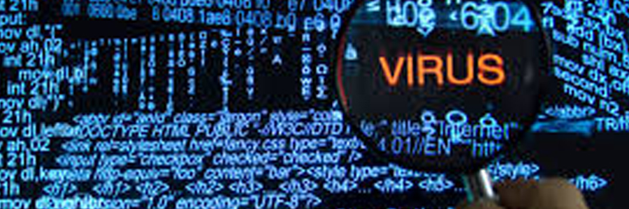 tipos de malware - Digital Security Ecuador